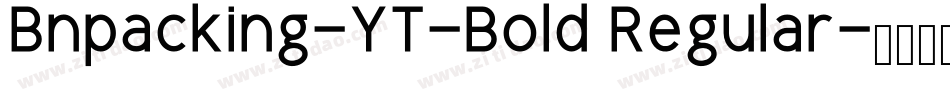 Bnpacking-YT-Bold Regular字体转换